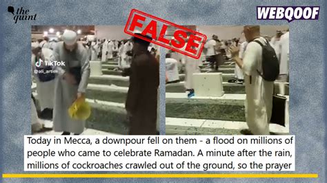 Fact Check: 2019 Video Of Cockroaches Emerging In Mecca .